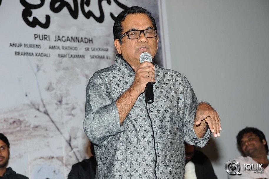 Heart-Attack-Audio-Success-Meet